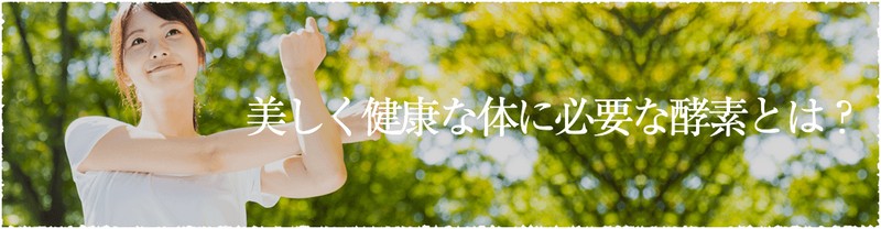 炊飯器を酵素玄米Pro2に替えるメリット｜寝かせ玄米の口コミ情報サイト